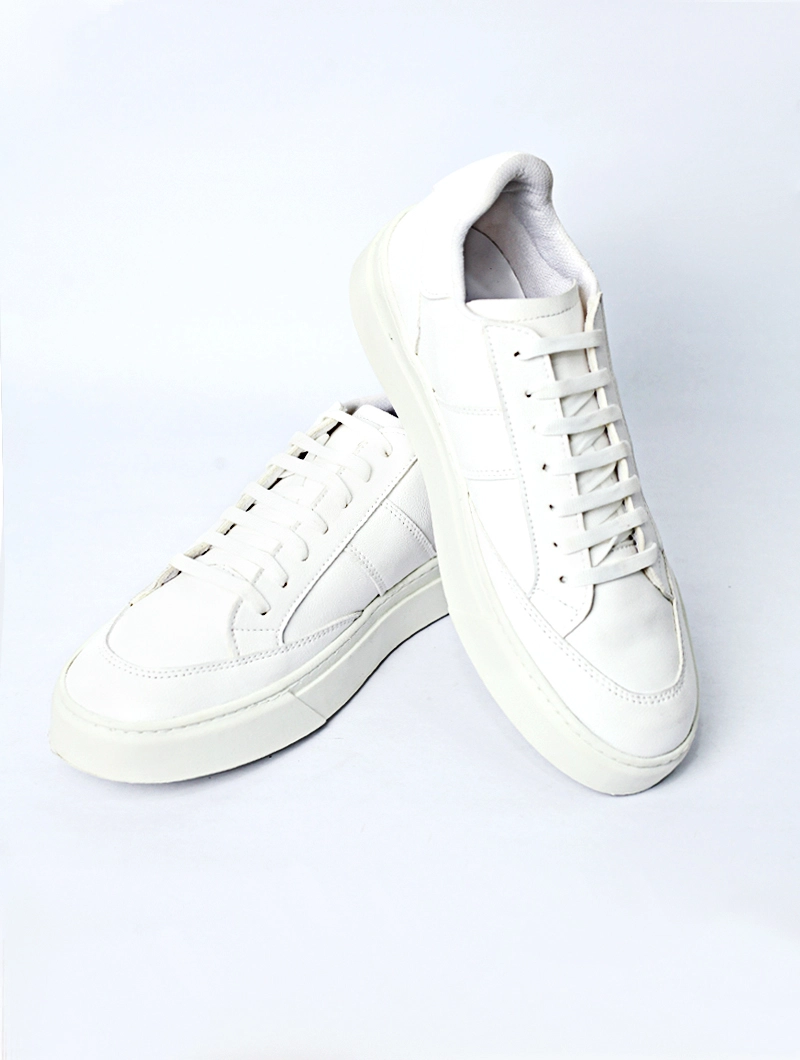 Baskets basses